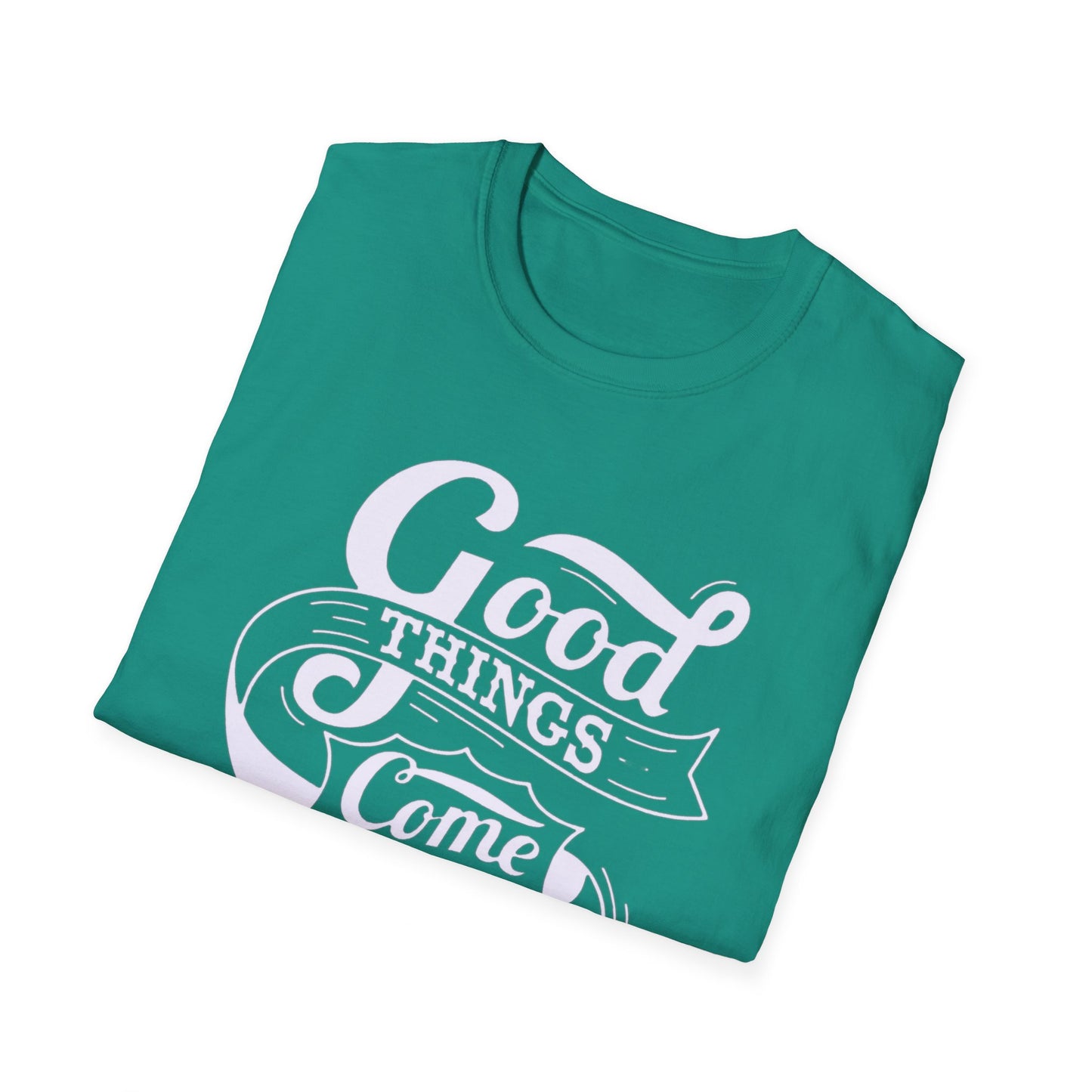 Good Things Come To Those Who Skate Unisex Softstyle T-Shirt